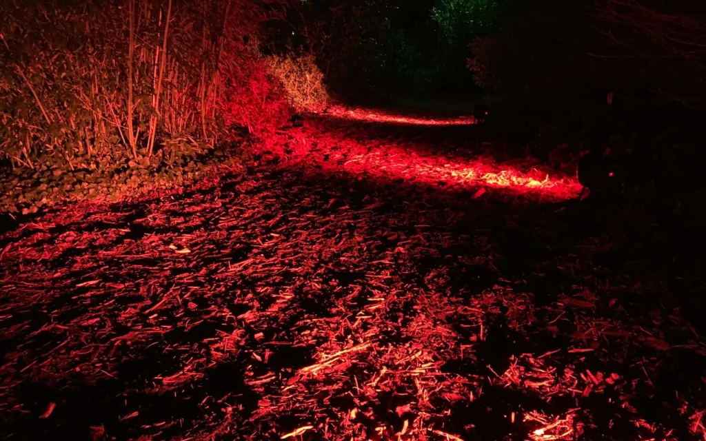 Sound Patrol Winterzauber Wachtelhof: Gartenanlage bei Nacht mit dramatischer roter LED-Illumination und festlicher Atmosphäre